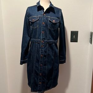 JCrew Denim Dress